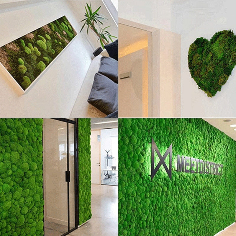 Qfdian Party decoration hot sale new 200g/bag  artificial green plants immortal fake flower Moss grass home garden decorative wall DIY flower grass accessories