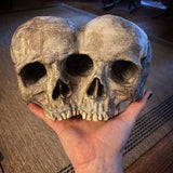 Qfdian Outdoor Resin Horror Skull Model Flower Pot New Creative Halloween Craft Jewelry Home Planter Skull Pot Home Decor