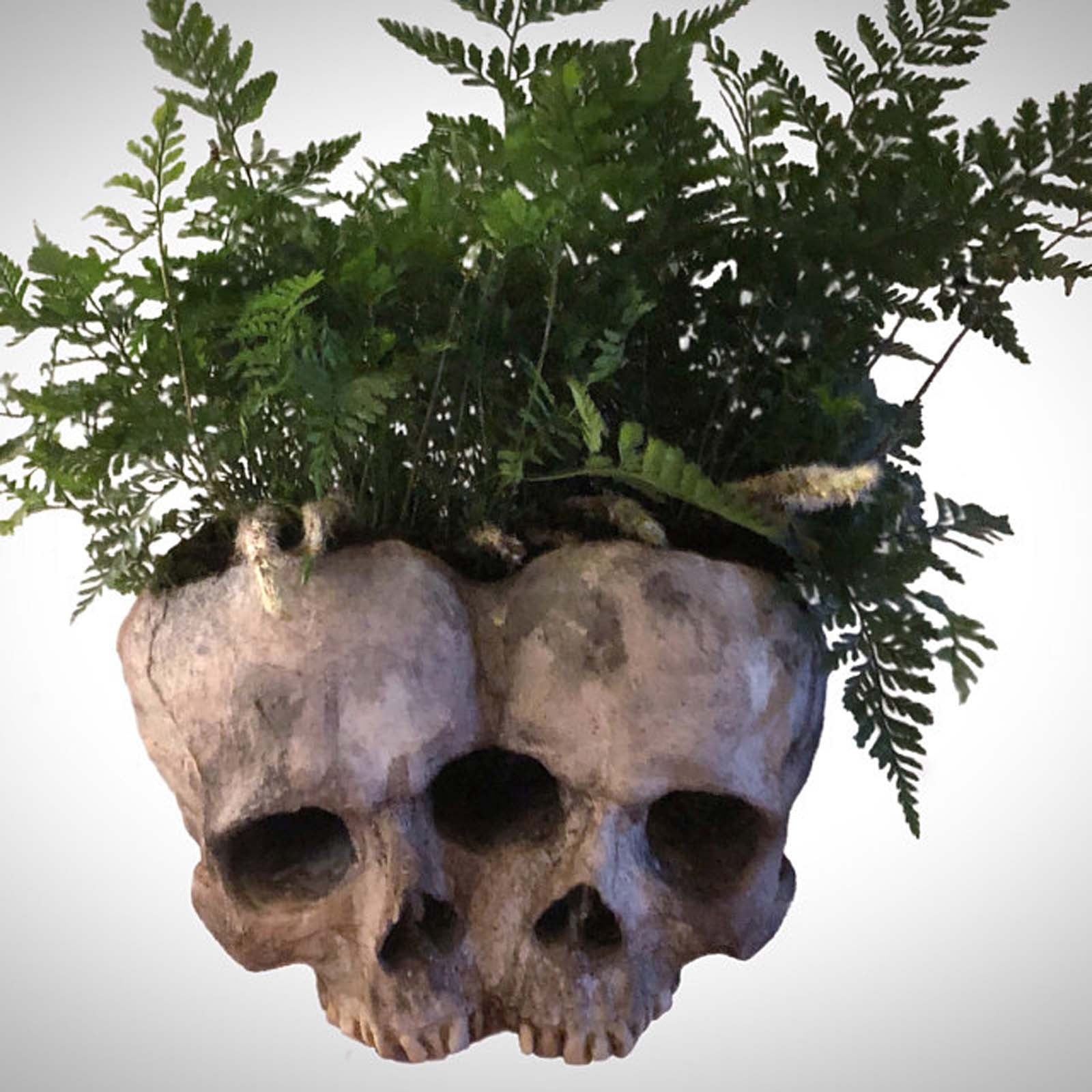 Qfdian Outdoor Resin Horror Skull Model Flower Pot New Creative Halloween Craft Jewelry Home Planter Skull Pot Home Decor