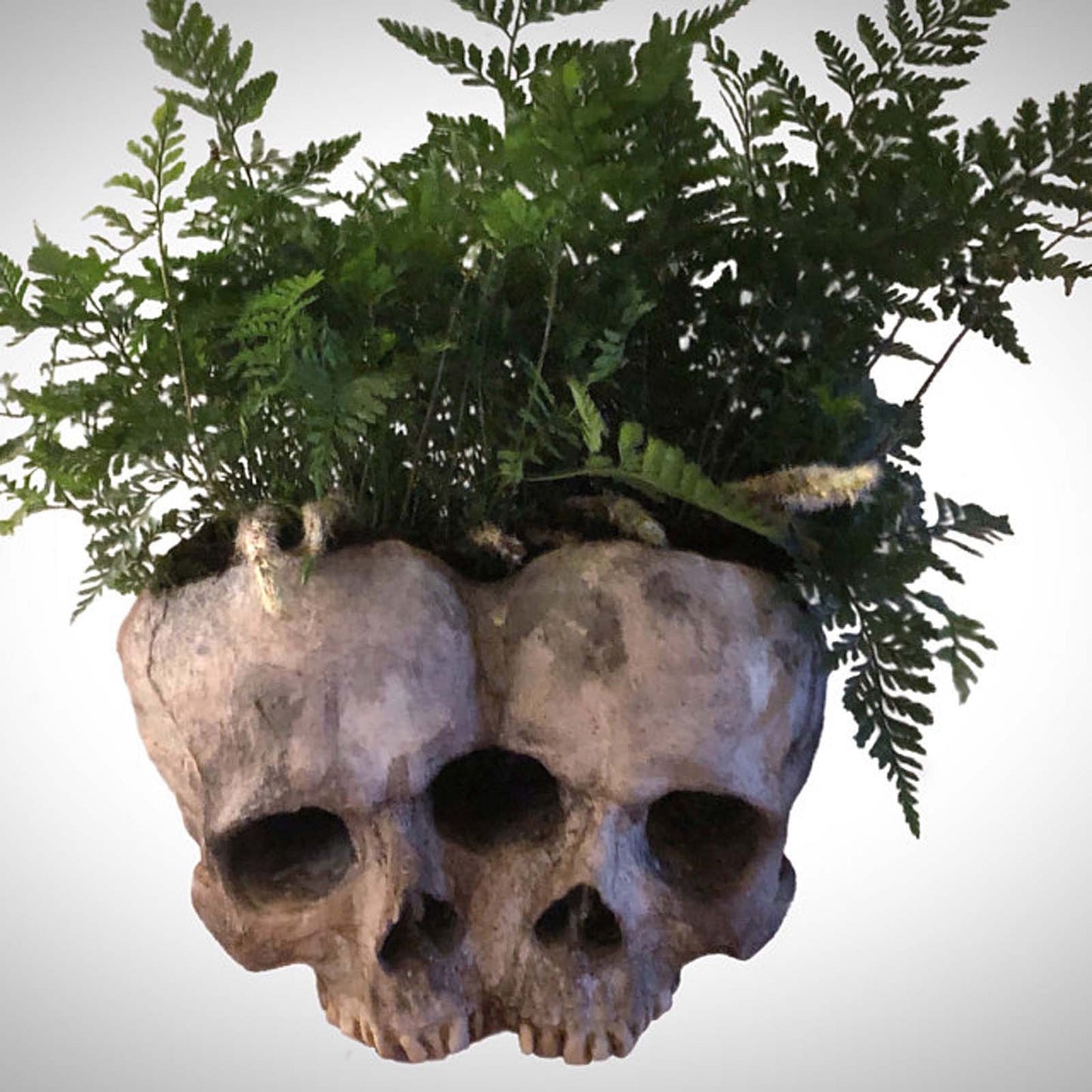 Qfdian Outdoor Resin Horror Skull Model Flower Pot New Creative Halloween Craft Jewelry Home Planter Skull Pot Home Decor