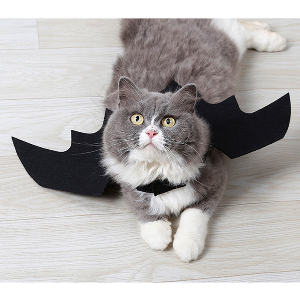 Qfdian halloween decorations halloween costumes halloween giftCute Halloween Small Dogs Cat Costume Vampire Small Pet Cat Bat Wings Halloween Cat Wings Accessories Halloween Decorations