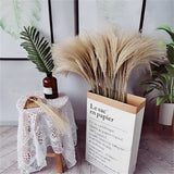 Qfdian Cozy apartment aesthetic real pampas grass decor natural dried flowers plants wedding flowers dry flower bouquet fluffy lovely for holiday home decor