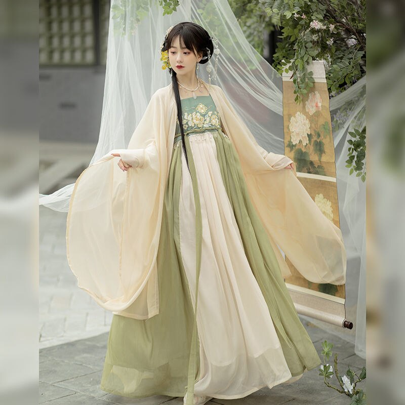 Tang Dynasty Hanfu Women's Hezi Skirt Traditional Clothes Chinese Style Fairy Retro Daily Suit Spring and Summer Costumes