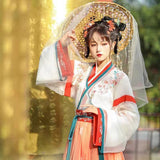 Women's Hanfu Wei and Jin Dynasty Clothing Chinese Traditional Clothes Spring Summer Costume Princess Fairy Skirt Suit New