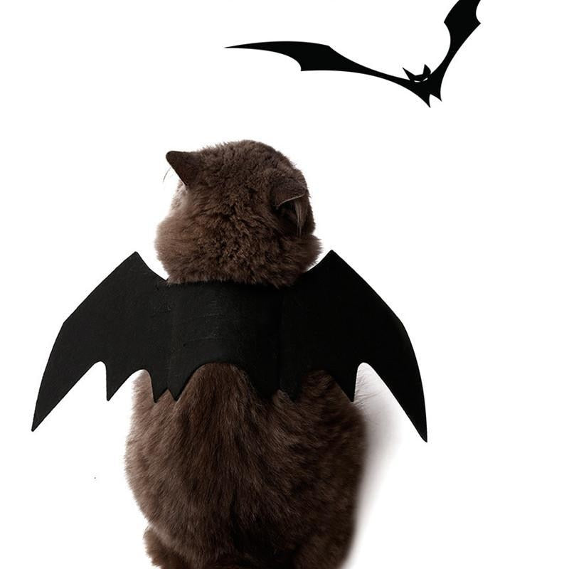 Qfdian halloween decorations halloween costumes halloween giftCute Halloween Small Dogs Cat Costume Vampire Small Pet Cat Bat Wings Halloween Cat Wings Accessories Halloween Decorations