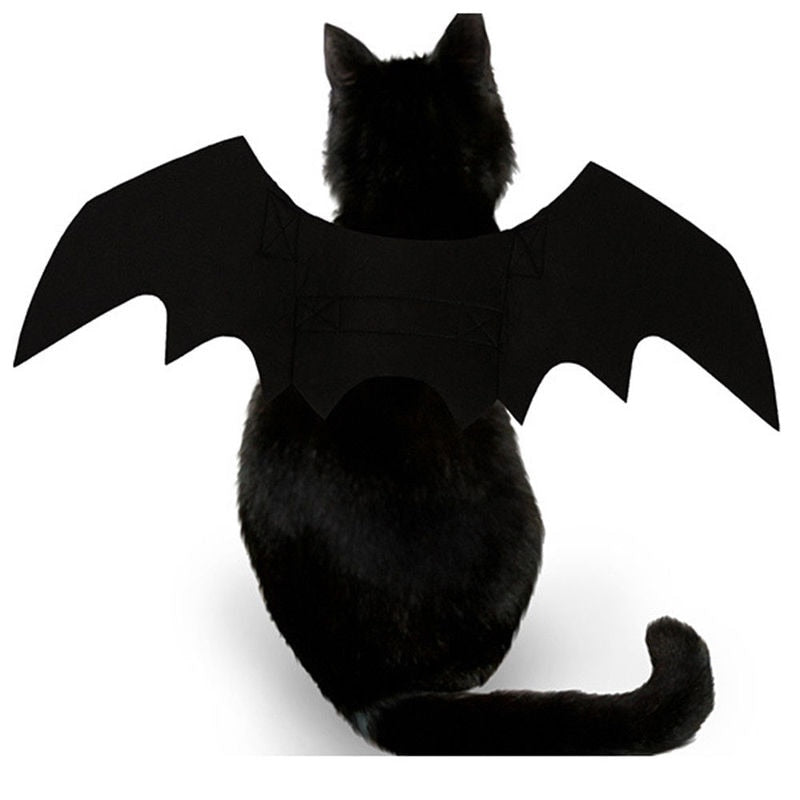 Qfdian halloween decorations halloween costumes halloween giftCute Halloween Small Dogs Cat Costume Vampire Small Pet Cat Bat Wings Halloween Cat Wings Accessories Halloween Decorations