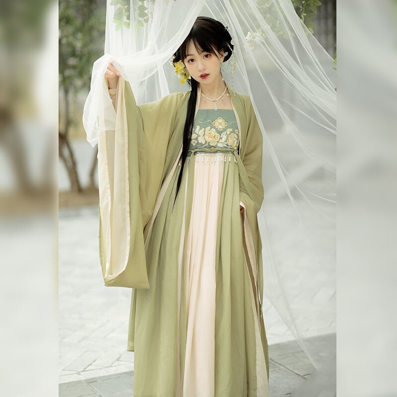 Tang Dynasty Hanfu Women's Hezi Skirt Traditional Clothes Chinese Style Fairy Retro Daily Suit Spring and Summer Costumes