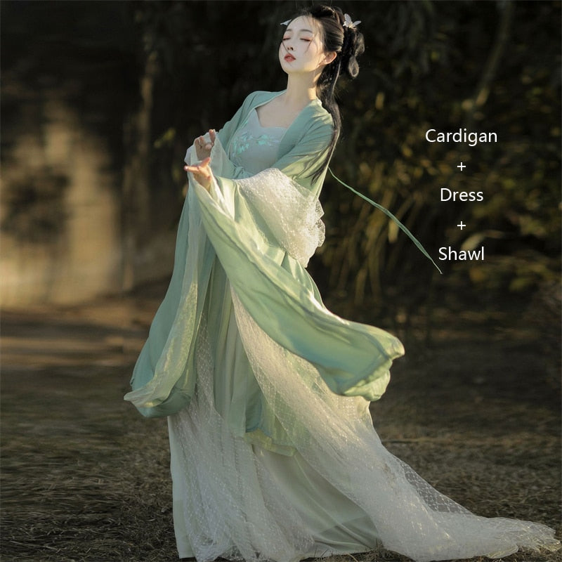 Women's Chinese Traditional Hanfu Weijin Dynasty Retro Loose Original Hanfu China Style Dress Green Chiffon Embroidered Dresses