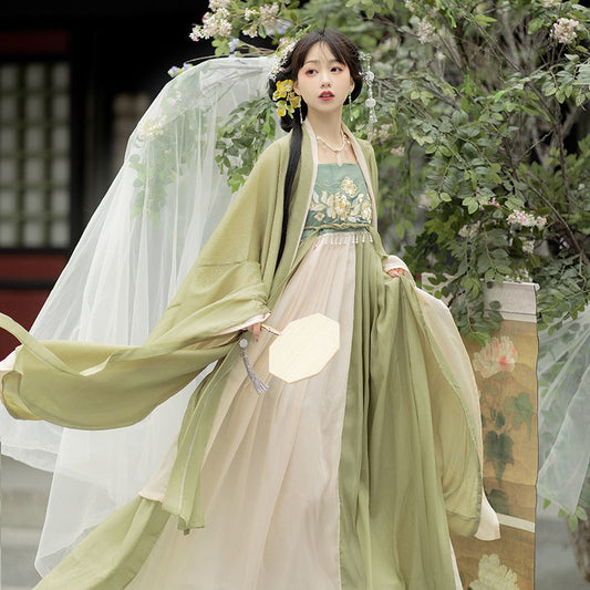 Tang Dynasty Hanfu Women's Hezi Skirt Traditional Clothes Chinese Style Fairy Retro Daily Suit Spring and Summer Costumes