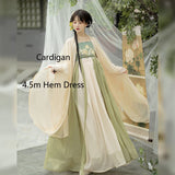 Tang Dynasty Hanfu Women's Hezi Skirt Traditional Clothes Chinese Style Fairy Retro Daily Suit Spring and Summer Costumes