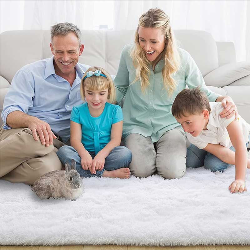 Furry Carpet Living Room Mat Modern Bedroom Nordic Style Decoration Carpet Large Size Black Gray White Non Slip Children's Rugs