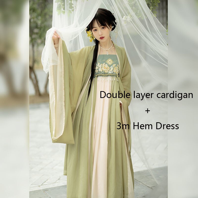 Tang Dynasty Hanfu Women's Hezi Skirt Traditional Clothes Chinese Style Fairy Retro Daily Suit Spring and Summer Costumes