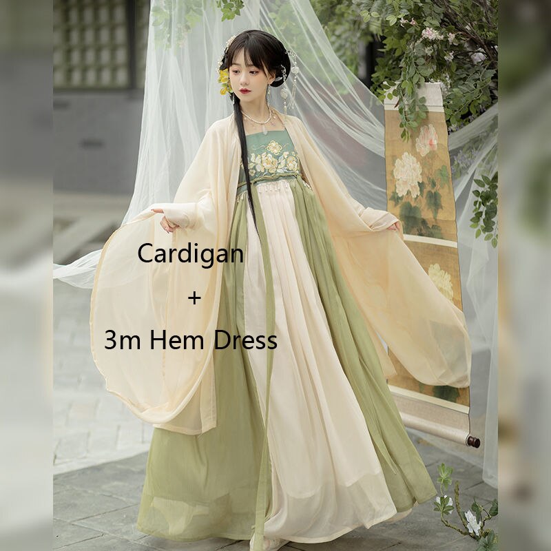 Tang Dynasty Hanfu Women's Hezi Skirt Traditional Clothes Chinese Style Fairy Retro Daily Suit Spring and Summer Costumes