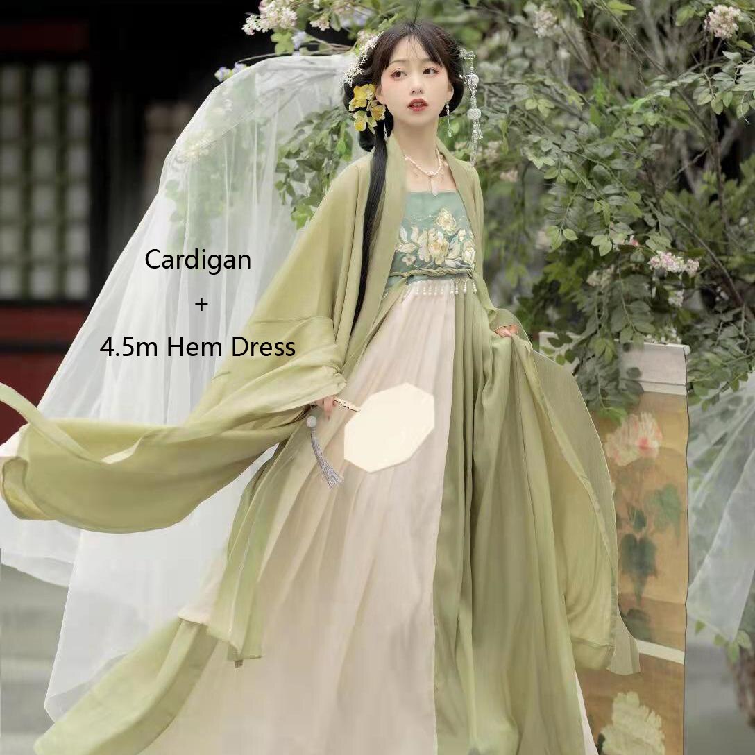 Tang Dynasty Hanfu Women's Hezi Skirt Traditional Clothes Chinese Style Fairy Retro Daily Suit Spring and Summer Costumes