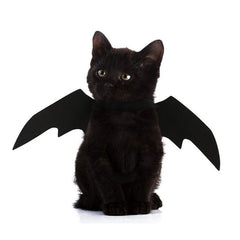 Qfdian halloween decorations halloween costumes halloween giftCute Halloween Small Dogs Cat Costume Vampire Small Pet Cat Bat Wings Halloween Cat Wings Accessories Halloween Decorations