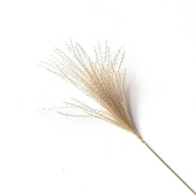 Qfdian Cozy apartment aesthetic real pampas grass decor natural dried flowers plants wedding flowers dry flower bouquet fluffy lovely for holiday home decor