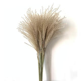 Qfdian Cozy apartment aesthetic real pampas grass decor natural dried flowers plants wedding flowers dry flower bouquet fluffy lovely for holiday home decor