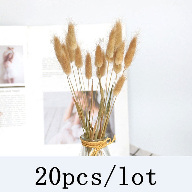 Qfdian New Year's gift Bulrush Natural Dried Flowers Artificial Plants Branch Colorful INS Pampas Grass Phragmites Fake Flower Wedding Home Decoration