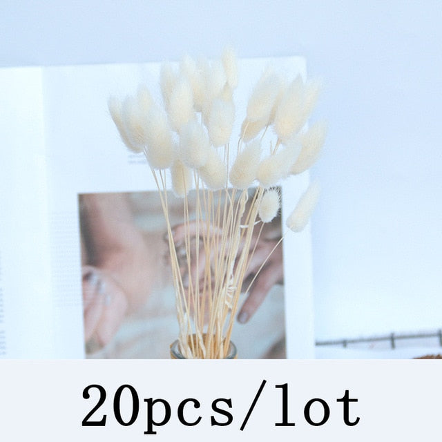 Qfdian New Year's gift Bulrush Natural Dried Flowers Artificial Plants Branch Colorful INS Pampas Grass Phragmites Fake Flower Wedding Home Decoration