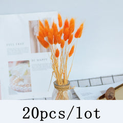 Qfdian New Year's gift Bulrush Natural Dried Flowers Artificial Plants Branch Colorful INS Pampas Grass Phragmites Fake Flower Wedding Home Decoration