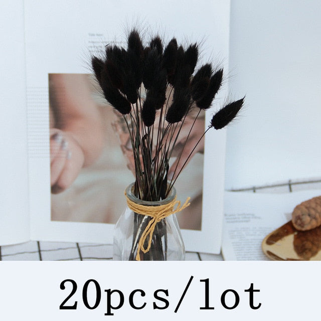 Qfdian New Year's gift Bulrush Natural Dried Flowers Artificial Plants Branch Colorful INS Pampas Grass Phragmites Fake Flower Wedding Home Decoration