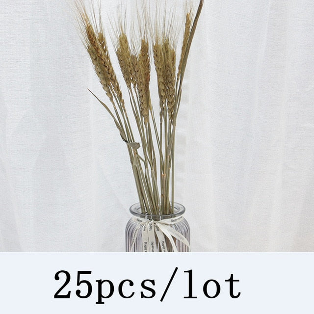 Qfdian New Year's gift Bulrush Natural Dried Flowers Artificial Plants Branch Colorful INS Pampas Grass Phragmites Fake Flower Wedding Home Decoration