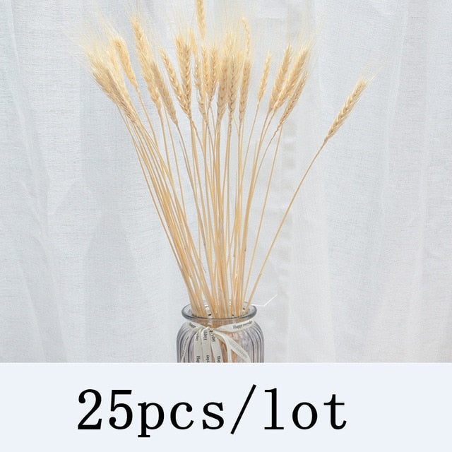 Qfdian New Year's gift Bulrush Natural Dried Flowers Artificial Plants Branch Colorful INS Pampas Grass Phragmites Fake Flower Wedding Home Decoration