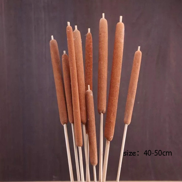 Qfdian Cozy apartment aesthetic Real Wheat Decoration Natural Pampas Rabbit Tail Grass Dried Flowers For Wedding Party DIY Craft Typha Lagurus ovatus Phragmites