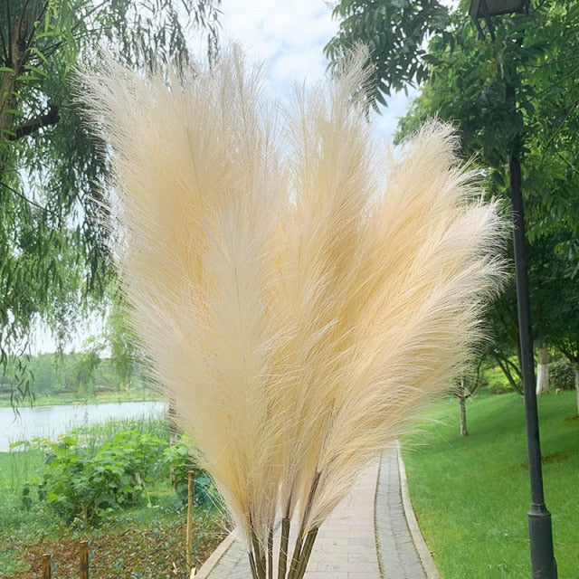 Qfdian 5Pcs 100cm Artificial Pampas Grass Bouquet DIY Vase New Year Holiday Wedding Party Home Decoration Plant Simulation Flower Reed