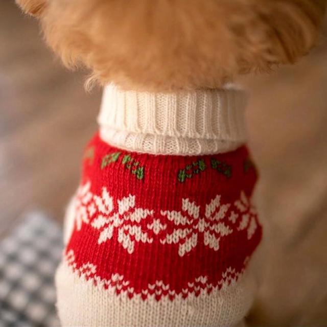 Qfdian Winter Pet Dog Sweater Christmas Cute Dogs Clothes For Puppy Small Medium Dogs Sweatshir Coats Warm Boss Chihuahua Outfit Perro