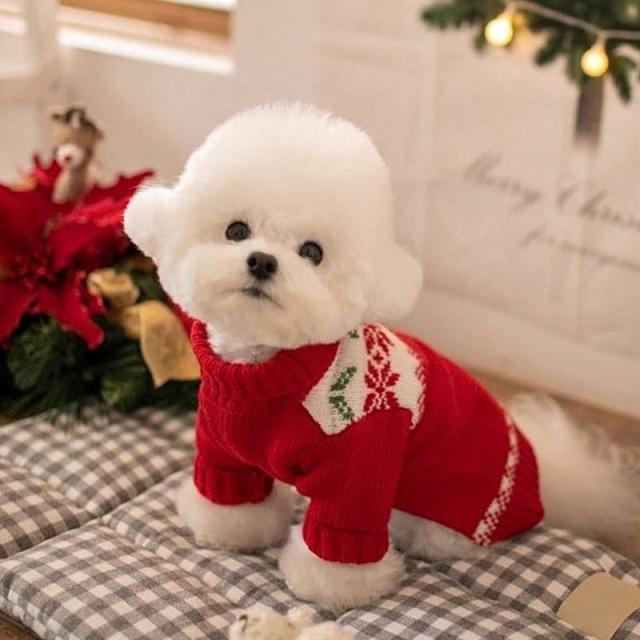 Qfdian Winter Pet Dog Sweater Christmas Cute Dogs Clothes For Puppy Small Medium Dogs Sweatshir Coats Warm Boss Chihuahua Outfit Perro