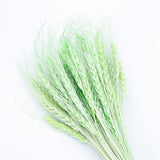 Qfdian New Year's gift 50Pcs Real Wheat Ear Flower Natural Dried Flowers Wedding Party Decoration Plant DIY Vase Dining Table Home Decor Wheat Bouquet