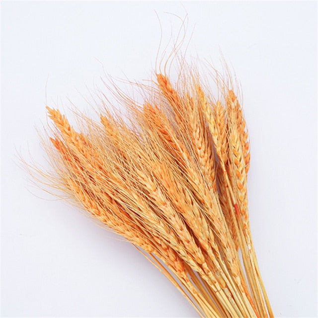 Qfdian New Year's gift 50Pcs Real Wheat Ear Flower Natural Dried Flowers Wedding Party Decoration Plant DIY Vase Dining Table Home Decor Wheat Bouquet