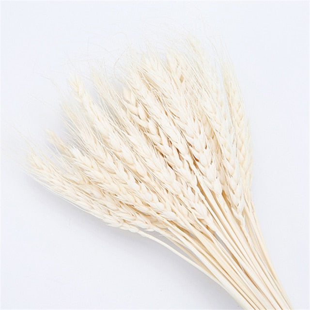 Qfdian New Year's gift 50Pcs Real Wheat Ear Flower Natural Dried Flowers Wedding Party Decoration Plant DIY Vase Dining Table Home Decor Wheat Bouquet