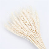 Qfdian New Year's gift 50Pcs Real Wheat Ear Flower Natural Dried Flowers Wedding Party Decoration Plant DIY Vase Dining Table Home Decor Wheat Bouquet