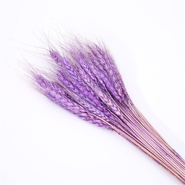 Qfdian New Year's gift 50Pcs Real Wheat Ear Flower Natural Dried Flowers Wedding Party Decoration Plant DIY Vase Dining Table Home Decor Wheat Bouquet