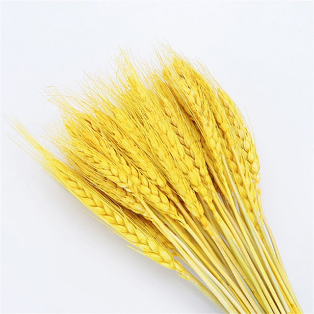 Qfdian New Year's gift 50Pcs Real Wheat Ear Flower Natural Dried Flowers Wedding Party Decoration Plant DIY Vase Dining Table Home Decor Wheat Bouquet