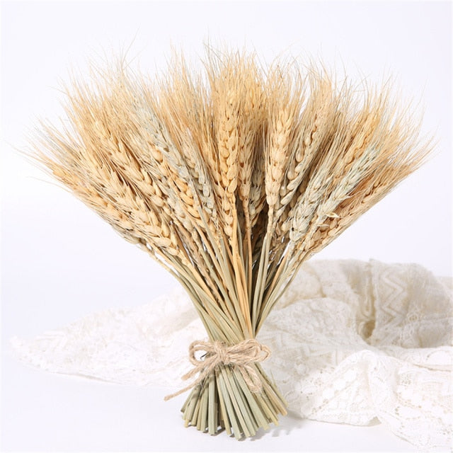 Qfdian New Year's gift 50Pcs Real Wheat Ear Flower Natural Dried Flowers Wedding Party Decoration Plant DIY Vase Dining Table Home Decor Wheat Bouquet