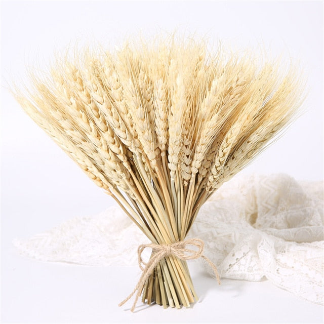 Qfdian New Year's gift 50Pcs Real Wheat Ear Flower Natural Dried Flowers Wedding Party Decoration Plant DIY Vase Dining Table Home Decor Wheat Bouquet