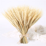 Qfdian New Year's gift 50Pcs Real Wheat Ear Flower Natural Dried Flowers Wedding Party Decoration Plant DIY Vase Dining Table Home Decor Wheat Bouquet