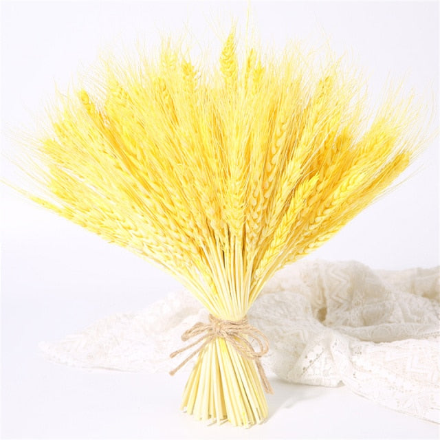 Qfdian New Year's gift 50Pcs Real Wheat Ear Flower Natural Dried Flowers Wedding Party Decoration Plant DIY Vase Dining Table Home Decor Wheat Bouquet