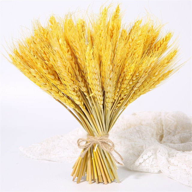 Qfdian New Year's gift 50Pcs Real Wheat Ear Flower Natural Dried Flowers Wedding Party Decoration Plant DIY Vase Dining Table Home Decor Wheat Bouquet