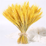 Qfdian New Year's gift 50Pcs Real Wheat Ear Flower Natural Dried Flowers Wedding Party Decoration Plant DIY Vase Dining Table Home Decor Wheat Bouquet