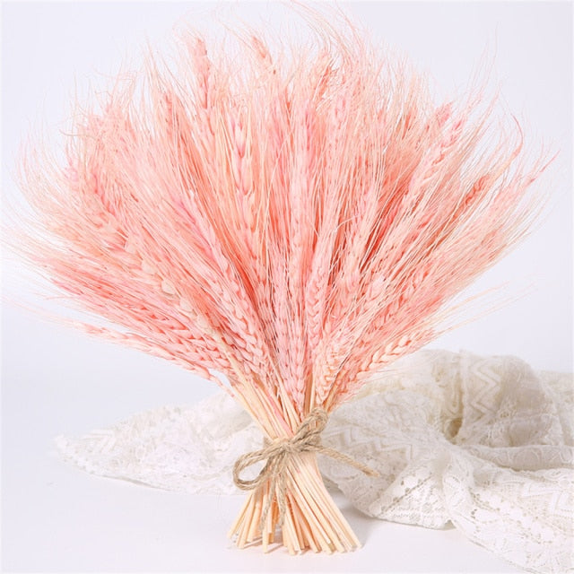 Qfdian New Year's gift 50Pcs Real Wheat Ear Flower Natural Dried Flowers Wedding Party Decoration Plant DIY Vase Dining Table Home Decor Wheat Bouquet