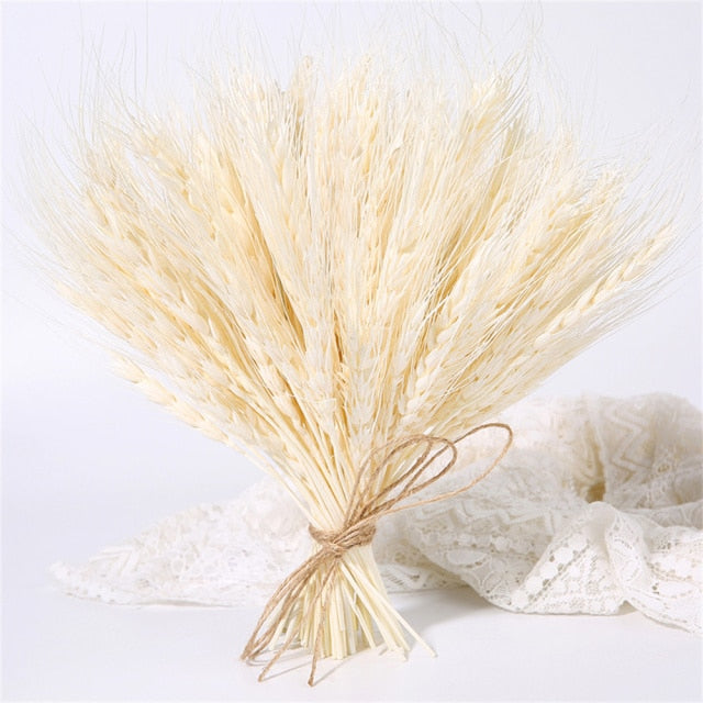 Qfdian New Year's gift 50Pcs Real Wheat Ear Flower Natural Dried Flowers Wedding Party Decoration Plant DIY Vase Dining Table Home Decor Wheat Bouquet