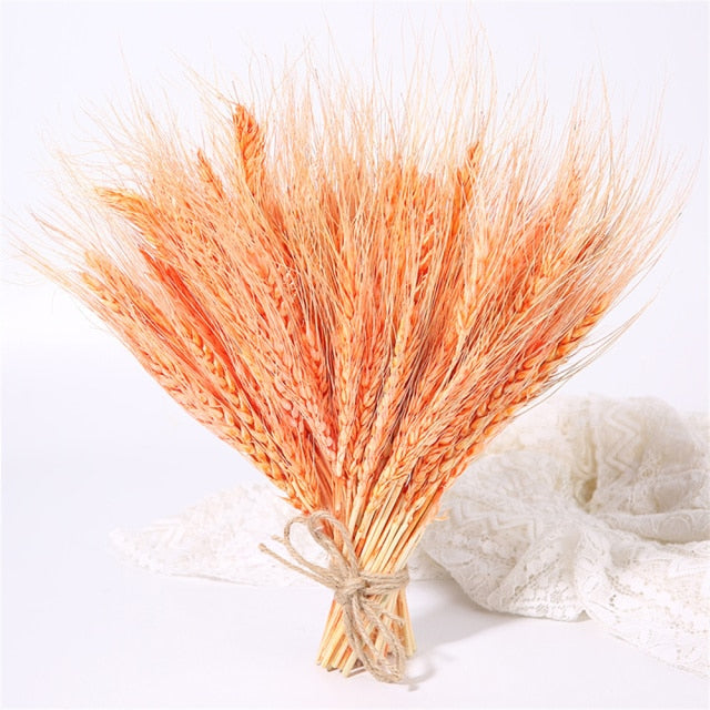 Qfdian New Year's gift 50Pcs Real Wheat Ear Flower Natural Dried Flowers Wedding Party Decoration Plant DIY Vase Dining Table Home Decor Wheat Bouquet